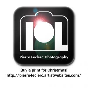 Buy A Print For Christmas